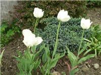 8ccd28fd-Picture 1793.jpg